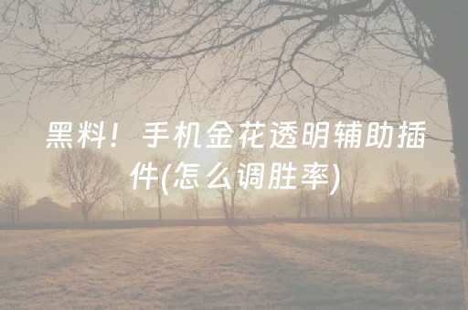 黑料！手机金花透明辅助插件(怎么调胜率)