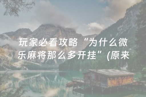 玩家必看攻略“为什么微乐麻将那么多开挂”(原来真的有挂)-知乎