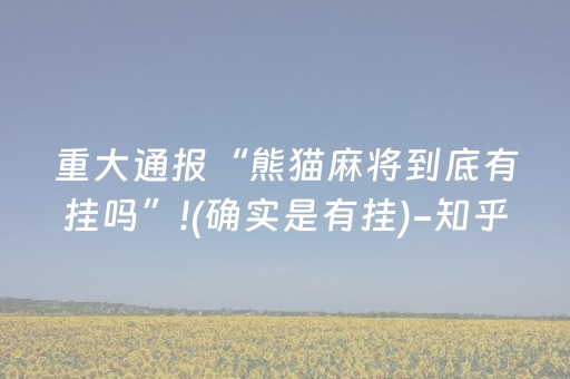 重大通报“熊猫麻将到底有挂吗”!(确实是有挂)-知乎