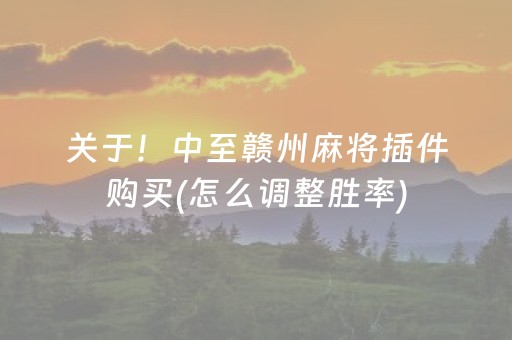 关于！中至赣州麻将插件购买(怎么调整胜率)