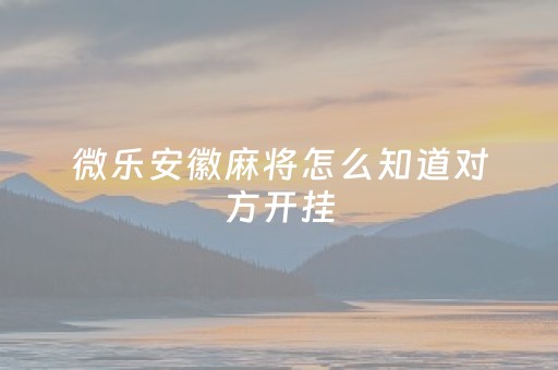 微乐安徽麻将怎么知道对方开挂（微乐麻将怎么知道对方有没有开挂）