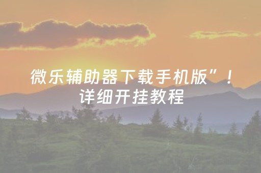 微乐辅助器下载手机版”！详细开挂教程（确实真的有挂)-知乎