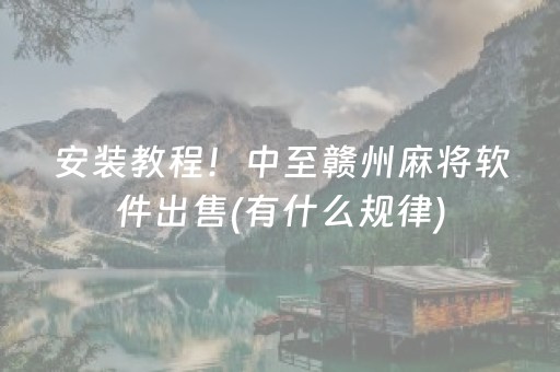 安装教程！中至赣州麻将软件出售(有什么规律)