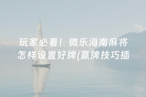 玩家必看！微乐海南麻将怎样设置好牌(赢牌技巧插件安装)