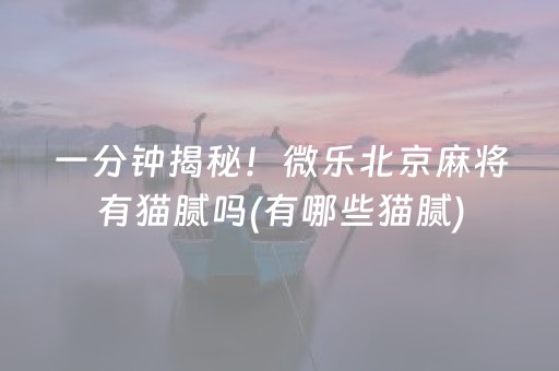 一分钟揭秘！微乐北京麻将有猫腻吗(有哪些猫腻)