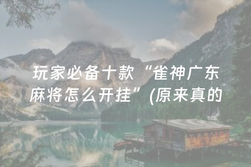 玩家必备十款“雀神广东麻将怎么开挂”(原来真的有挂)-知乎