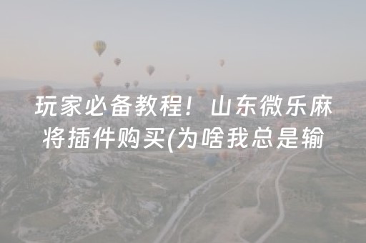 玩家必备教程！山东微乐麻将插件购买(为啥我总是输)