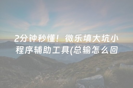 2分钟秒懂！微乐填大坑小程序辅助工具(总输怎么回事)
