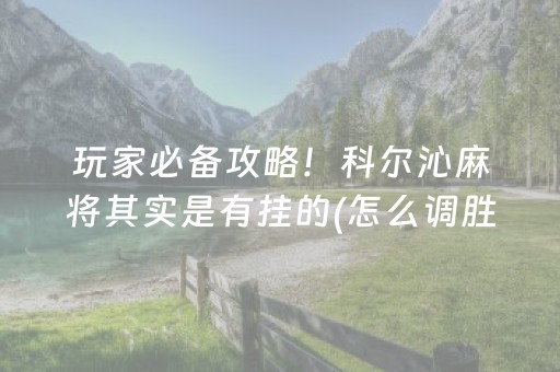 玩家必备攻略！科尔沁麻将其实是有挂的(怎么调胜率)
