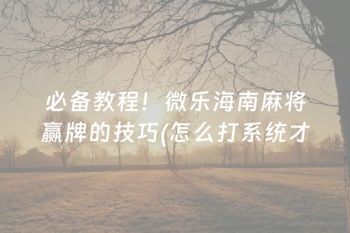 必备教程！微乐海南麻将赢牌的技巧(怎么打系统才能给好牌)
