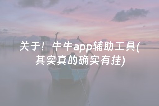 关于！牛牛app辅助工具(其实真的确实有挂)