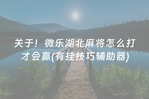 关于！微乐湖北麻将怎么打才会赢(有挂技巧辅助器)