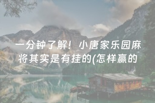 一分钟了解！小唐家乐园麻将其实是有挂的(怎样赢的几率大)