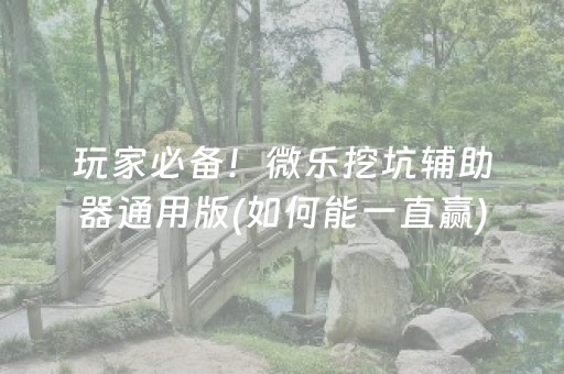 玩家必备！微乐挖坑辅助器通用版(如何能一直赢)