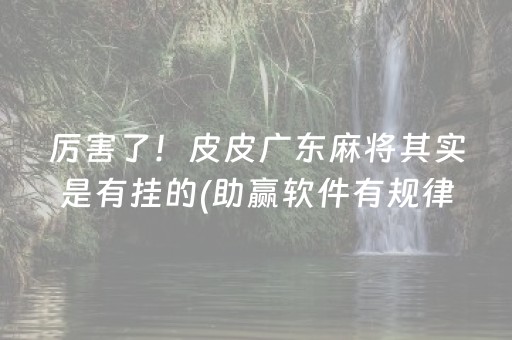 厉害了！皮皮广东麻将其实是有挂的(助赢软件有规律吗)