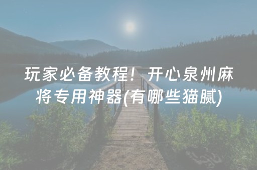 玩家必备教程！开心泉州麻将专用神器(有哪些猫腻)