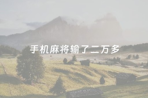 手机麻将输了二万多（玩手机麻将输了2600）