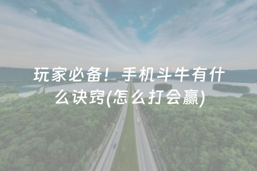 玩家必备！手机斗牛有什么诀窍(怎么打会赢)