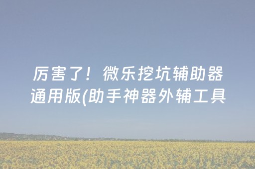 厉害了！微乐挖坑辅助器通用版(助手神器外辅工具)