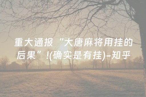 重大通报“大唐麻将用挂的后果”!(确实是有挂)-知乎