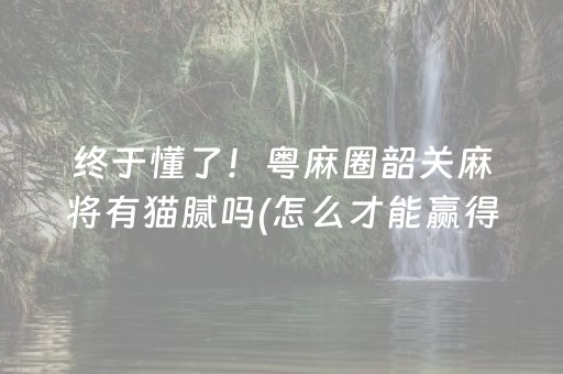终于懂了！粤麻圈韶关麻将有猫腻吗(怎么才能赢得多)