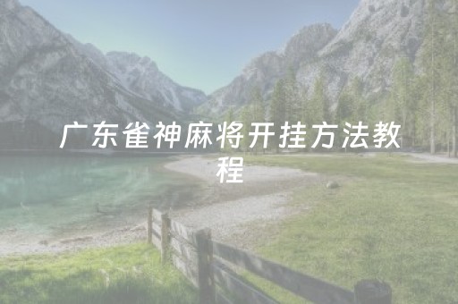 广东雀神麻将开挂方法教程（雀神广东麻将开挂教程）