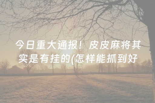 今日重大通报！皮皮麻将其实是有挂的(怎样能抓到好牌)