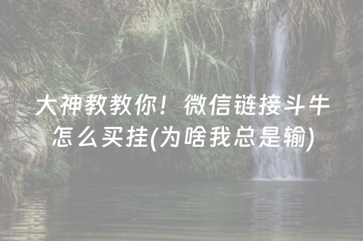 大神教教你！微信链接斗牛怎么买挂(为啥我总是输)