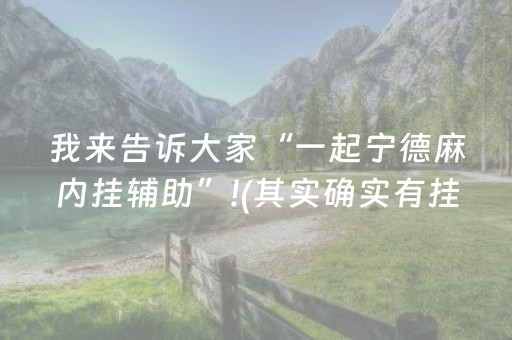 我来告诉大家“一起宁德麻内挂辅助”!(其实确实有挂)-知乎