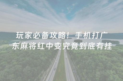 玩家必备攻略！手机打广东麻将红中变究竟到底有挂吗(真的有挂确实有挂)