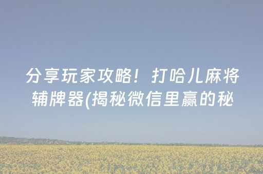 分享玩家攻略！打哈儿麻将辅牌器(揭秘微信里赢的秘诀)