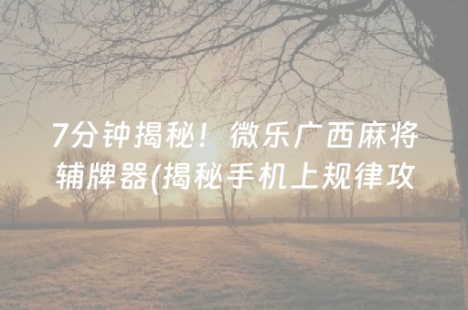 7分钟揭秘！微乐广西麻将辅牌器(揭秘手机上规律攻略)