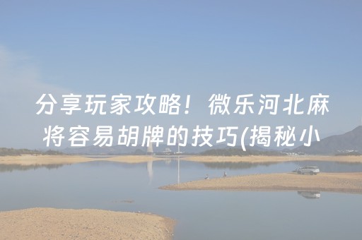 分享玩家攻略！微乐河北麻将容易胡牌的技巧(揭秘小程序插件下载)