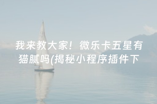 我来教大家！微乐卡五星有猫腻吗(揭秘小程序插件下载)