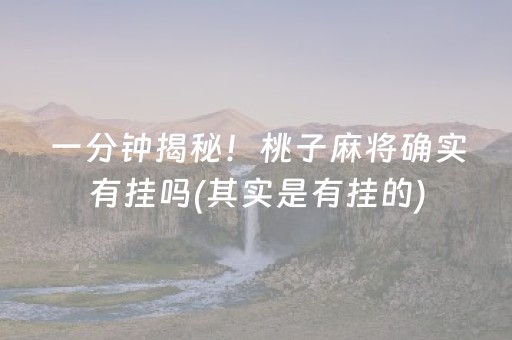 一分钟揭秘！桃子麻将确实有挂吗(其实是有挂的)