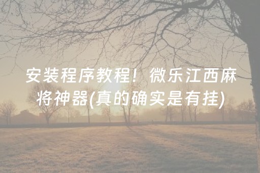 安装程序教程！微乐江西麻将神器(真的确实是有挂)