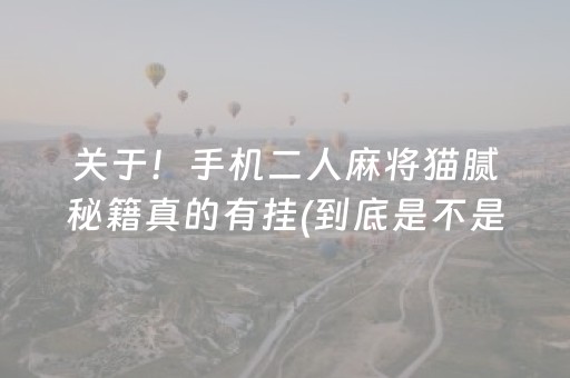 关于！手机二人麻将猫腻秘籍真的有挂(到底是不是有挂)
