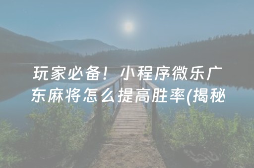 玩家必备！小程序微乐广东麻将怎么提高胜率(揭秘小程序规律攻略)