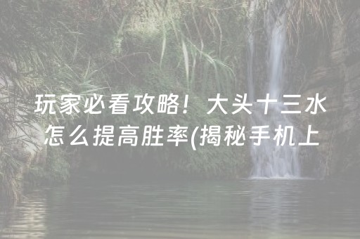 玩家必看攻略！大头十三水怎么提高胜率(揭秘手机上辅牌器)
