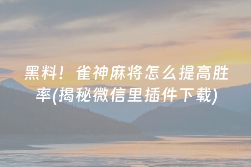 黑料！雀神麻将怎么提高胜率(揭秘微信里插件下载)
