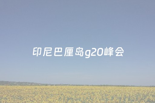 印尼巴厘岛g20峰会（印尼巴厘岛g20峰会有哪些
参加）