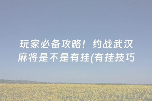 玩家必备攻略！约战武汉麻将是不是有挂(有挂技巧辅助器)