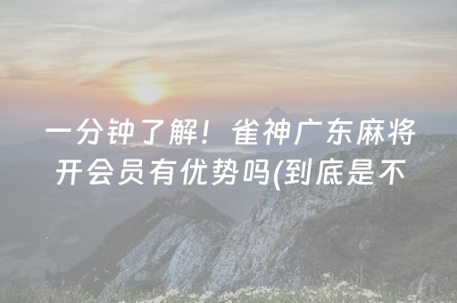 一分钟了解！雀神广东麻将开会员有优势吗(到底是不是有挂)