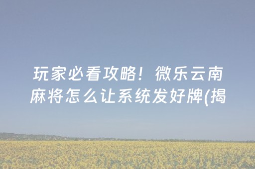 玩家必看攻略！微乐云南麻将怎么让系统发好牌(揭秘小程序专用神器)
