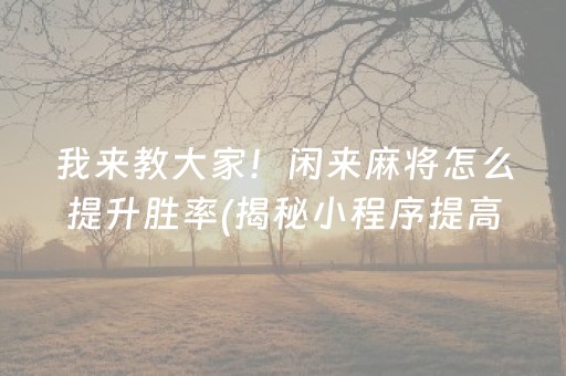 我来教大家！闲来麻将怎么提升胜率(揭秘小程序提高赢的概率)