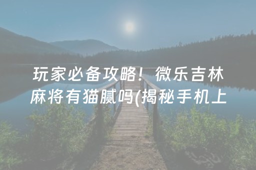 玩家必备攻略！微乐吉林麻将有猫腻吗(揭秘手机上怎么容易赢)