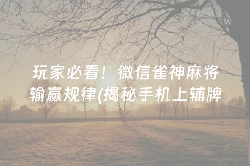 玩家必看！微信雀神麻将输赢规律(揭秘手机上辅牌器)