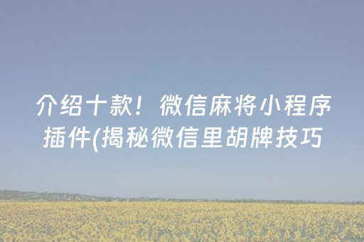 介绍十款！微信麻将小程序插件(揭秘微信里胡牌技巧)