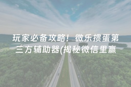 玩家必备攻略！微乐掼蛋第三方辅助器(揭秘微信里赢的秘诀)