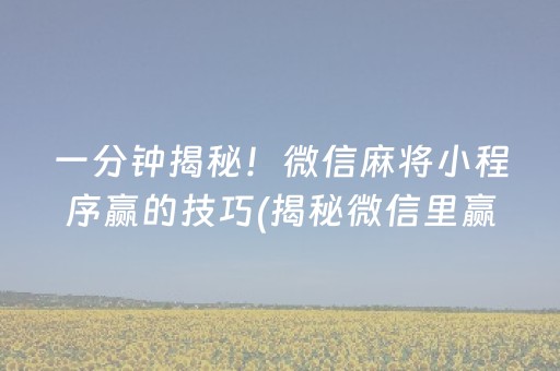 一分钟揭秘！微信麻将小程序赢的技巧(揭秘微信里赢牌的技巧)